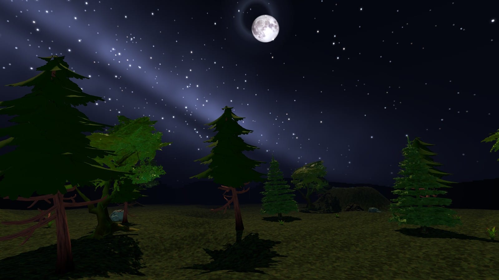 Pine woods under a starry sky and a small moon
